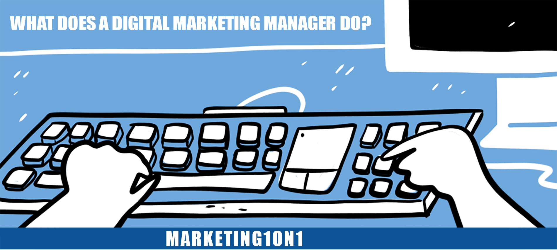 What does a digital marketing manager do?
